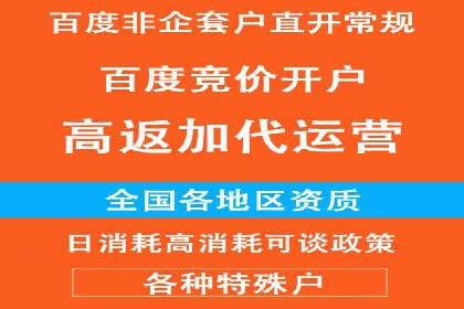百度竞价代理全攻略：成功案例分享